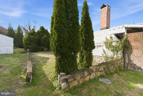 a view of a yard with an trees