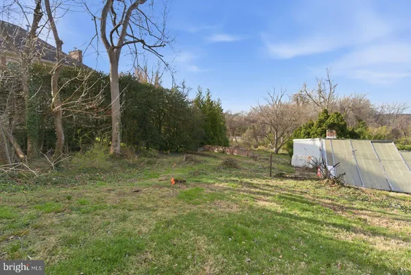 a view of a yard with a tree