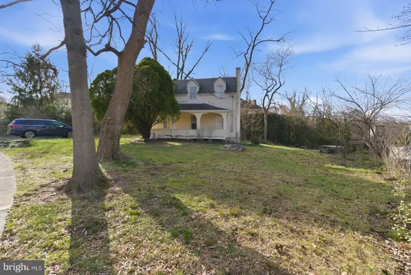 a view of a yard with large trees