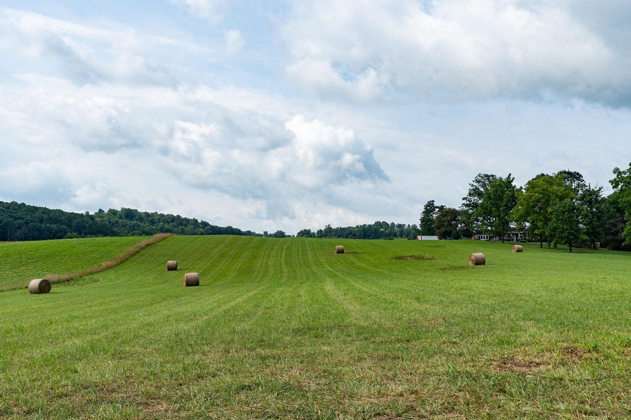 Tbd Stone Branch Road Staunton, VA 24401 - Photo 5 of 34 Gallery Image 5