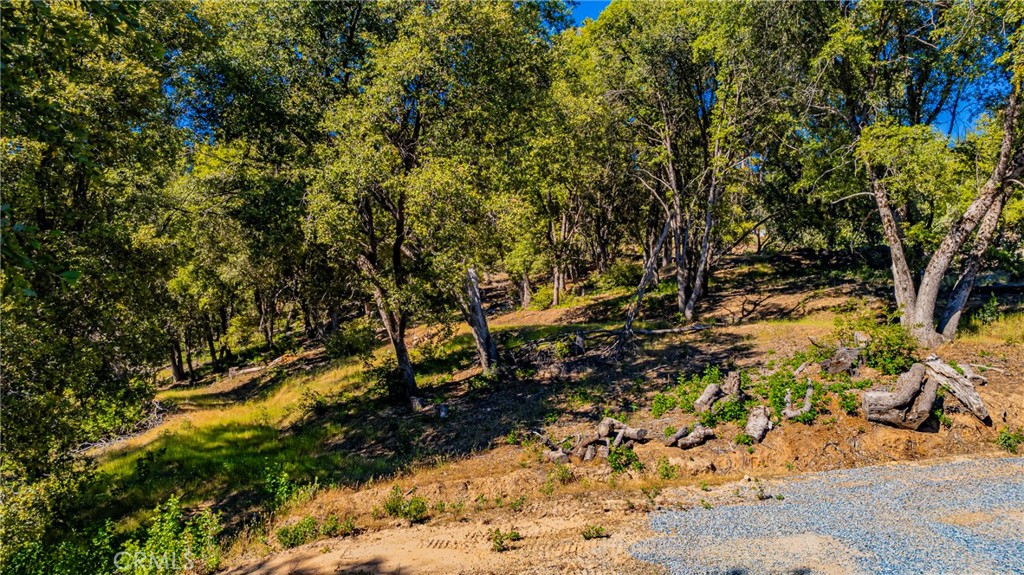 0 3 Springs Road Oakhurst, CA 93644 - Photo 10 of 20