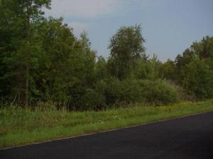 Fogeltanz Road Reedsville, WI 54230 - Photo 1 of 1 Primary Photo