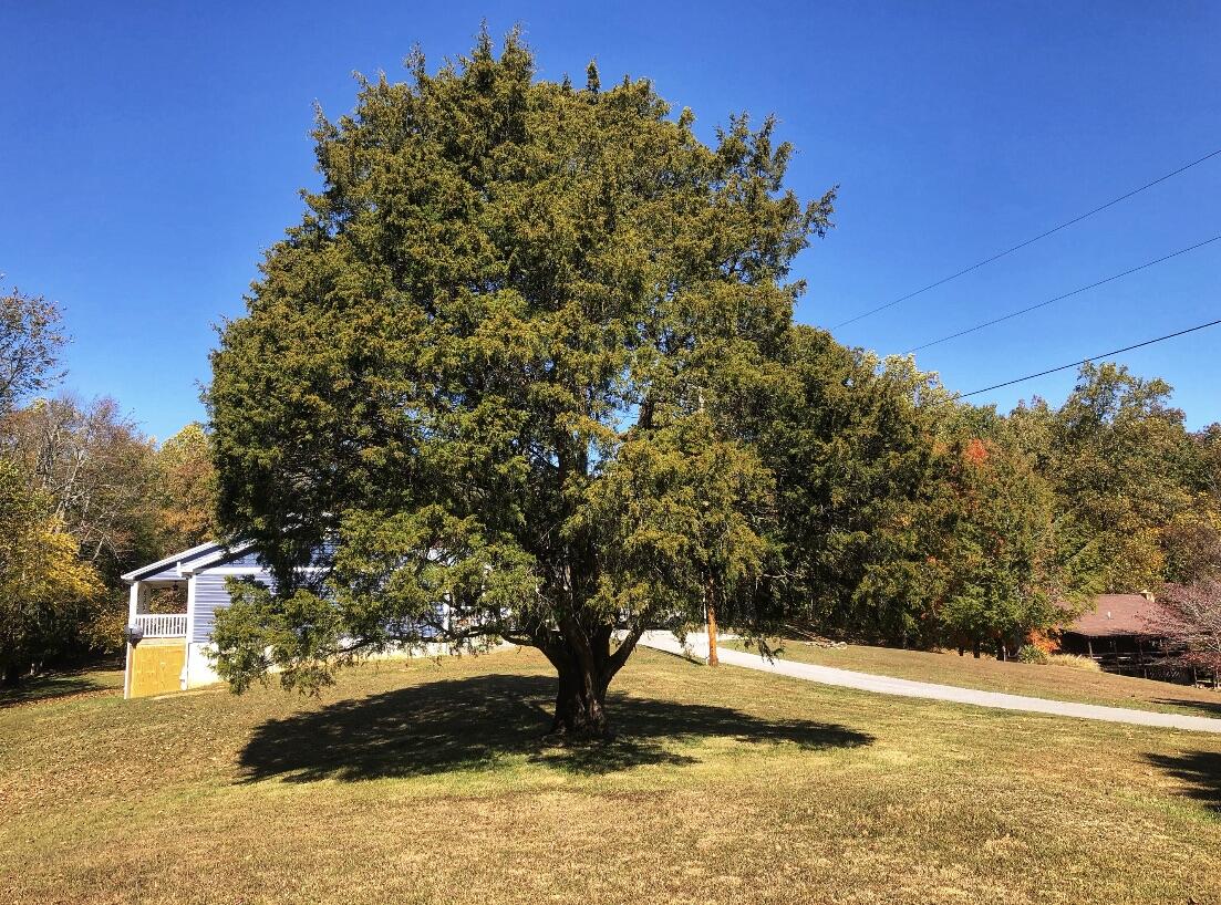 125 Ridge Road Nancy, KY 42544 - Photo 39 of 57 A5D3FFAC-AB00-4880-ACB5-367EDF45A566