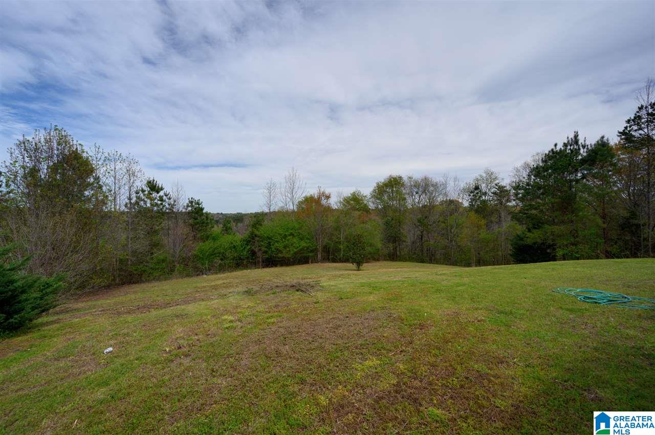 515 Bullard Road Blountsville, AL 35031 - Photo 4 of 21