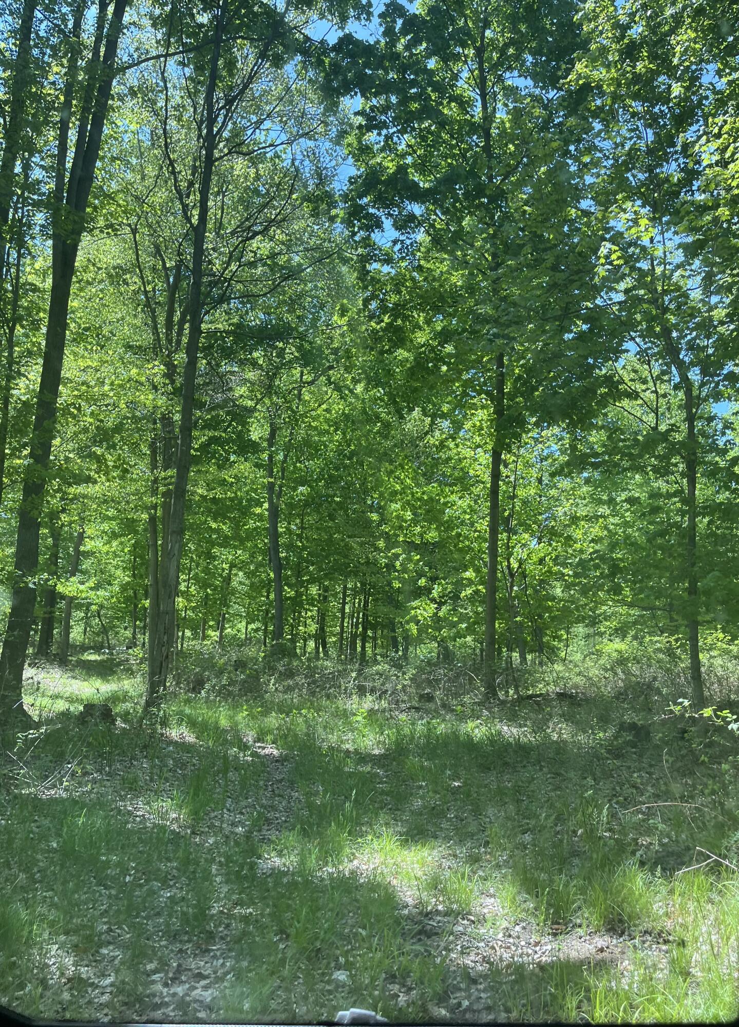 3685 Cypress Road Blanchard, MI 49310 - Photo 3 of 7 IMG_9456