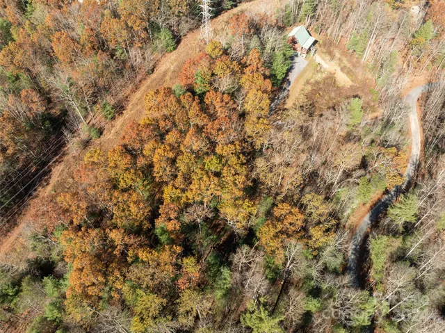 a view of a yard with trees