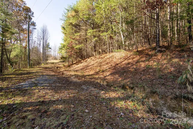 a view of covered with green space