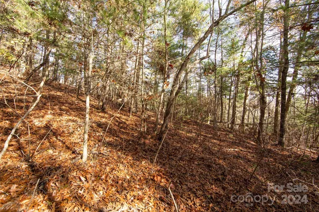 $70,000 | 99999 Big Raven Lane, Saluda, NC 28773