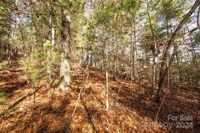 $70,000 | 99999 Big Raven Lane, Saluda, NC 28773