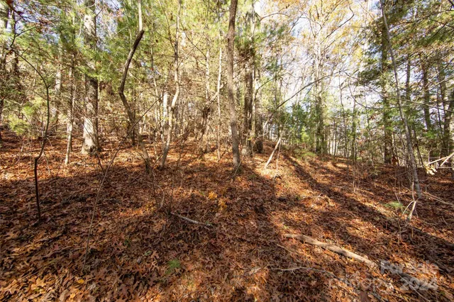 $70,000 | 99999 Big Raven Lane, Saluda, NC 28773