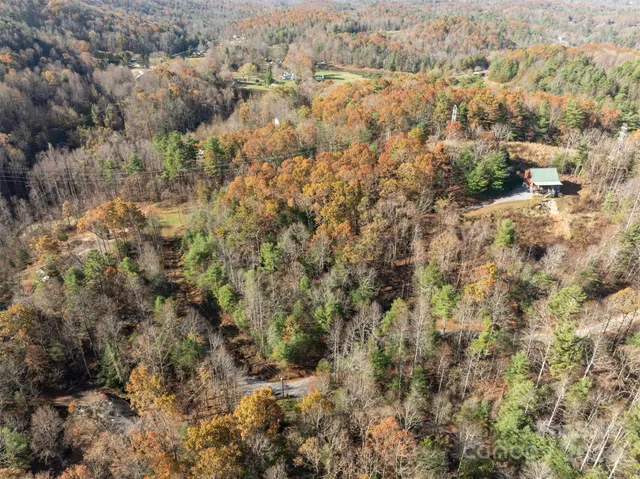 an aerial view of residential house with green space