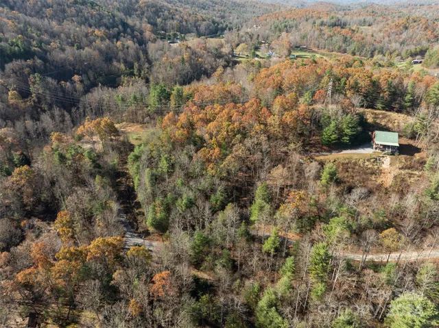 an aerial view of residential house with green space