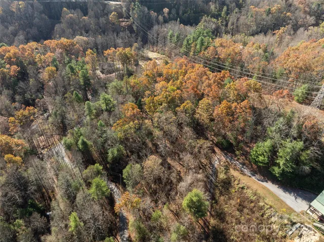 a view of a covered with large trees