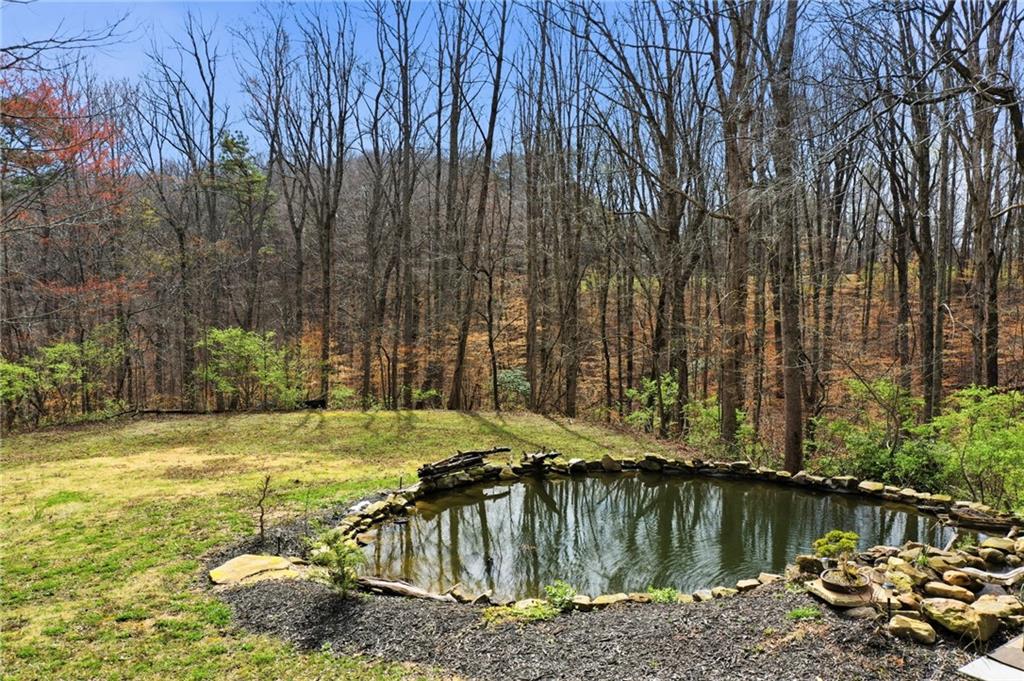 710 Lumber Company Road Talking Rock, GA 30175 - Photo 23 of 27 a view of a water fountain in a backyard