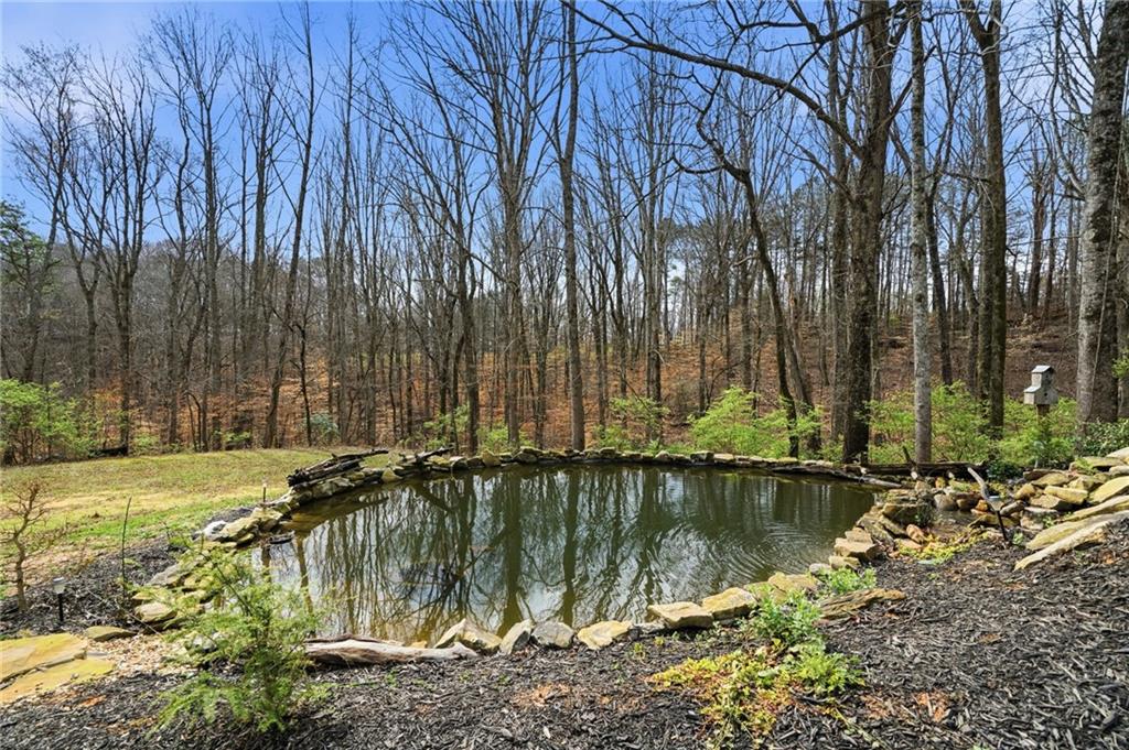710 Lumber Company Road Talking Rock, GA 30175 - Photo 24 of 27 a view of lake with a yard