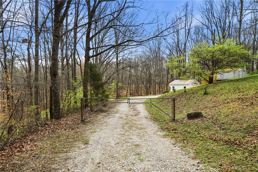 710 Lumber Company Road Talking Rock, GA 30175 - Photo 25 of 27 a view of a yard with large trees