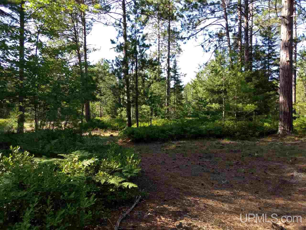 Unit 38-tbd Little Rice Lake Road, Unit 38 Lake Linden, MI 49945 - Photo 8 of 28