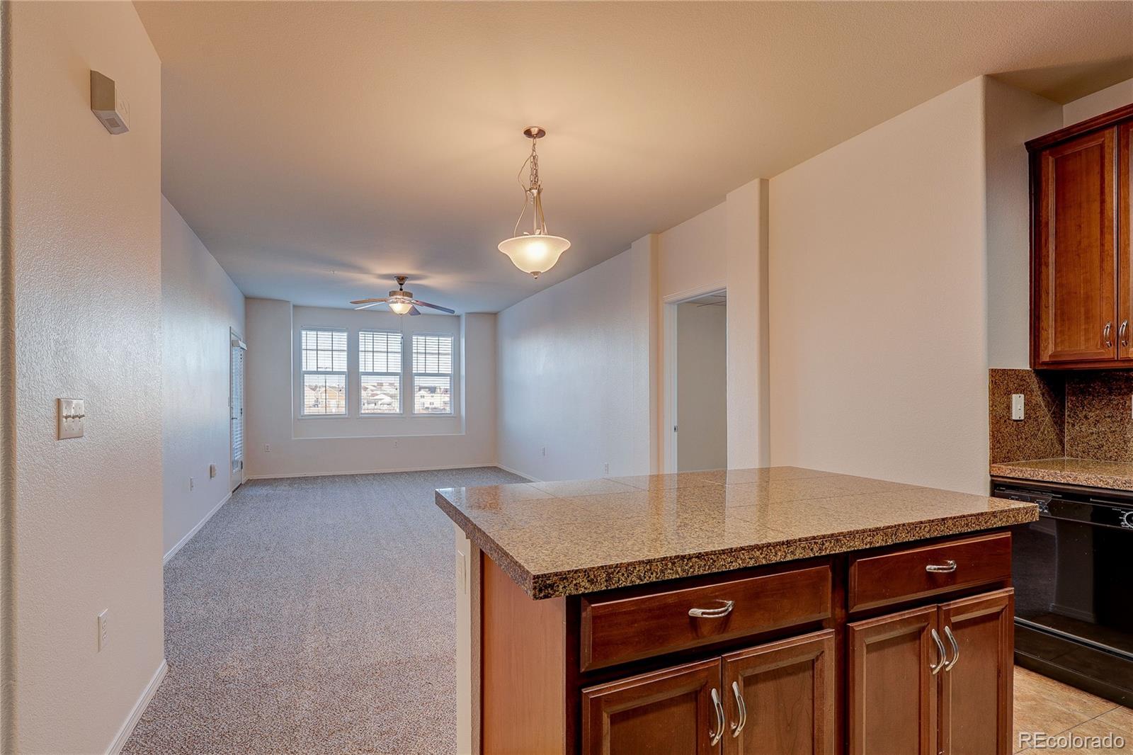 8489 Canyon Rim Circle, Unit 207 Parker, CO 80134 - Photo 7 of 32