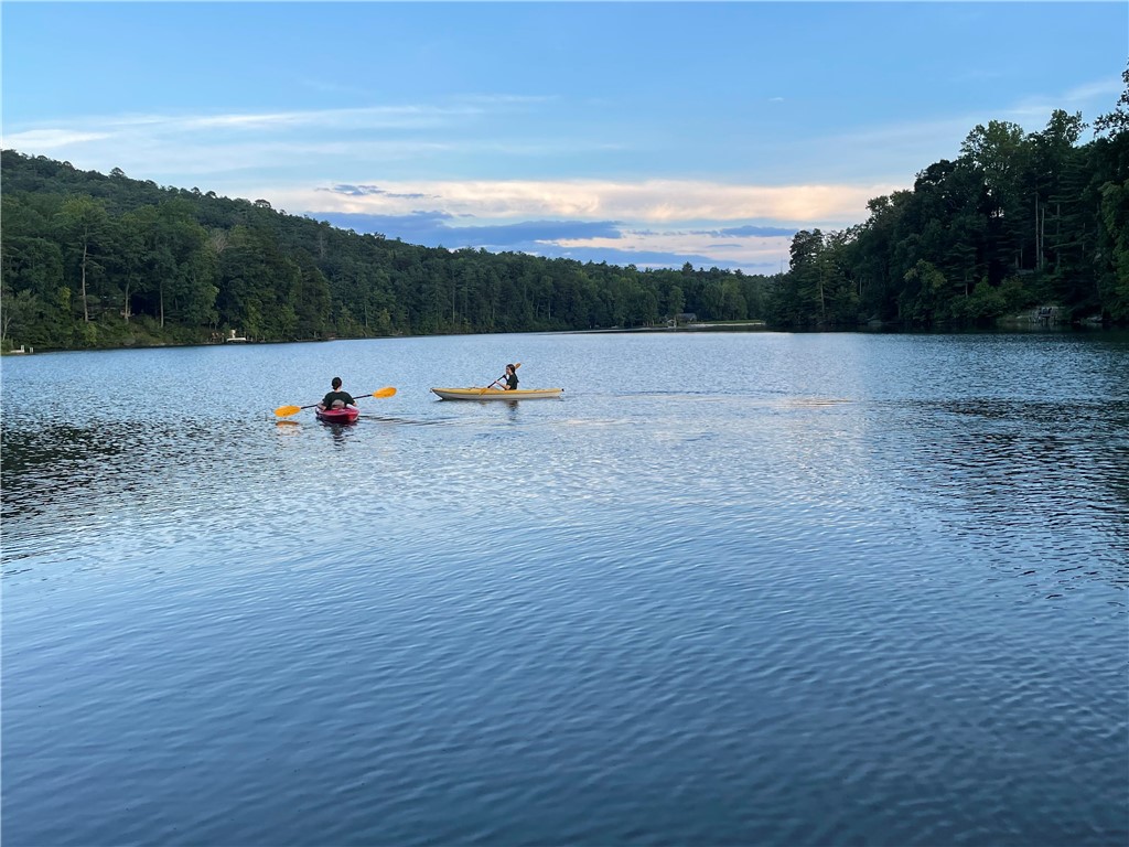735 Chattooga Lake Road Mountain Rest, SC 29664 - Photo 49 of 50