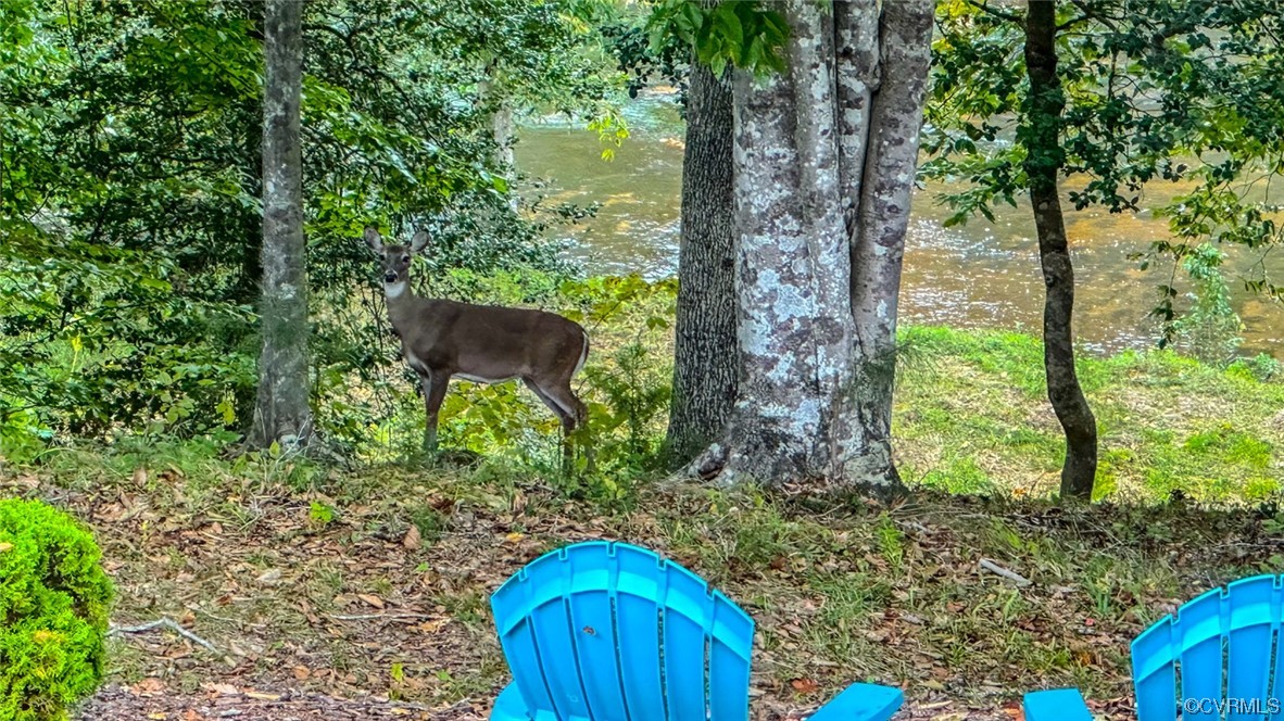 14440 Yankeetown Road Ashland, VA 23005 - Photo 50 of 50 a view of a garden
