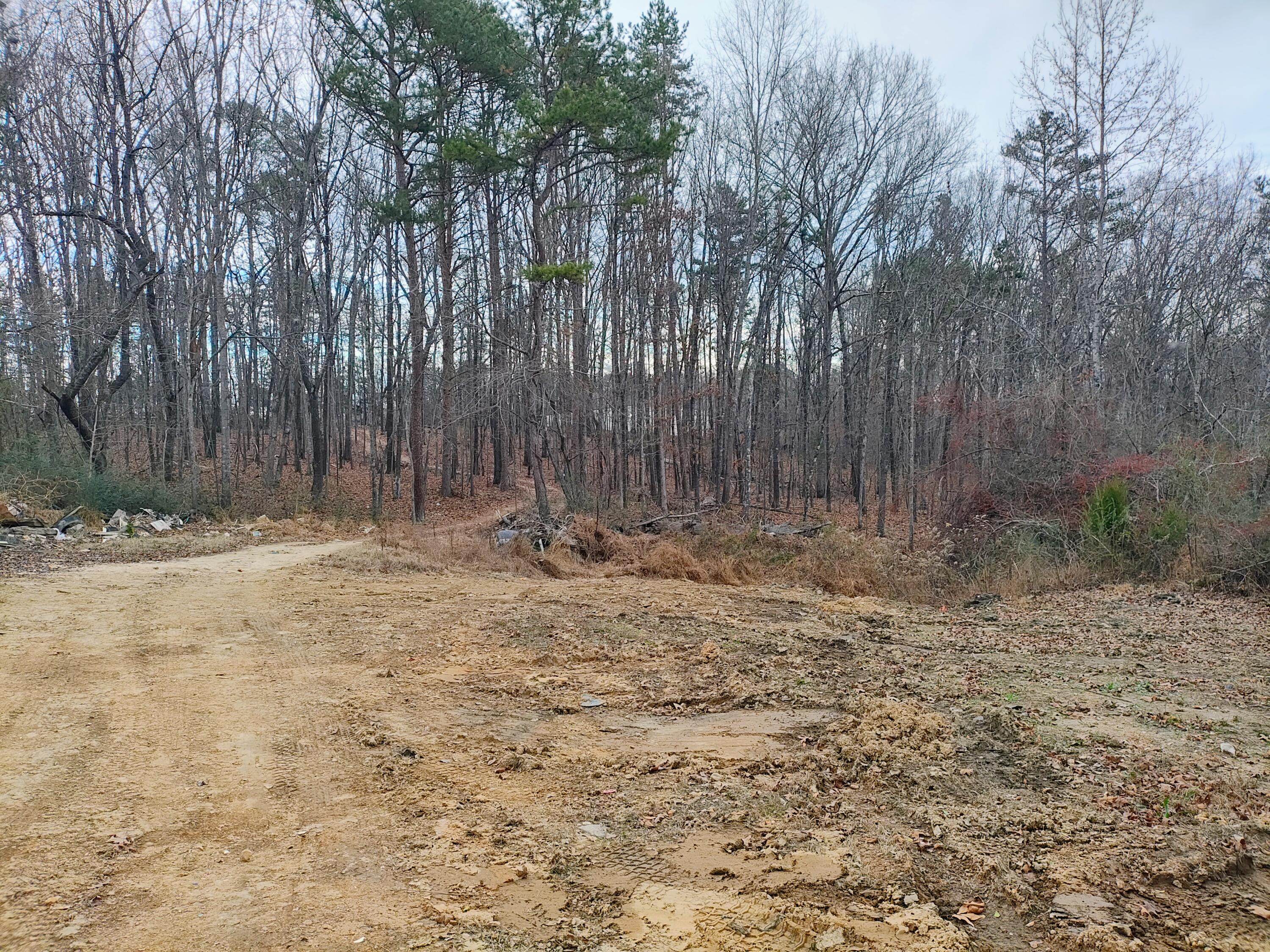 9523 West Ridge Trail Road Soddy Daisy, TN 37379 - Photo 4 of 20 IMG_20251217_160440689_HDR_AE