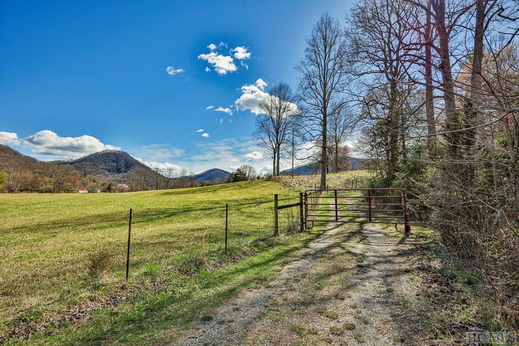 1806 Coweeta Lab Road Otto, NC 28763 - Photo 22 of 39 Gallery Image 22