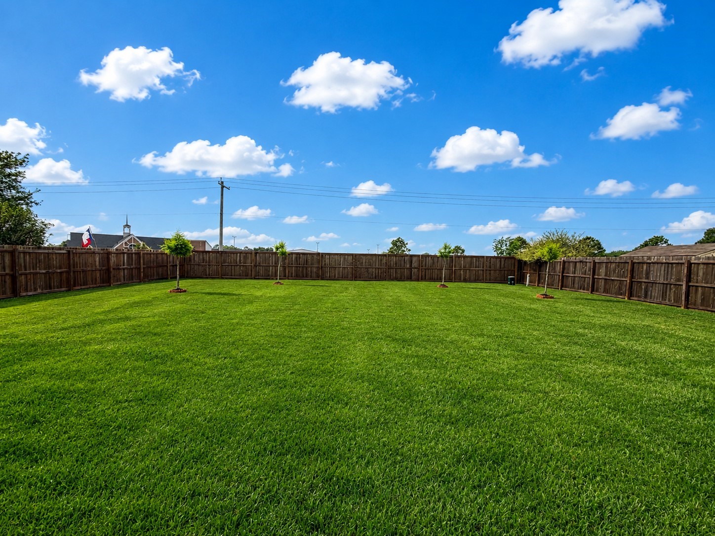 1448 South Blue Bonnet Lane Angleton, TX 77515 - Photo 42 of 43 a view of a house with a big yard