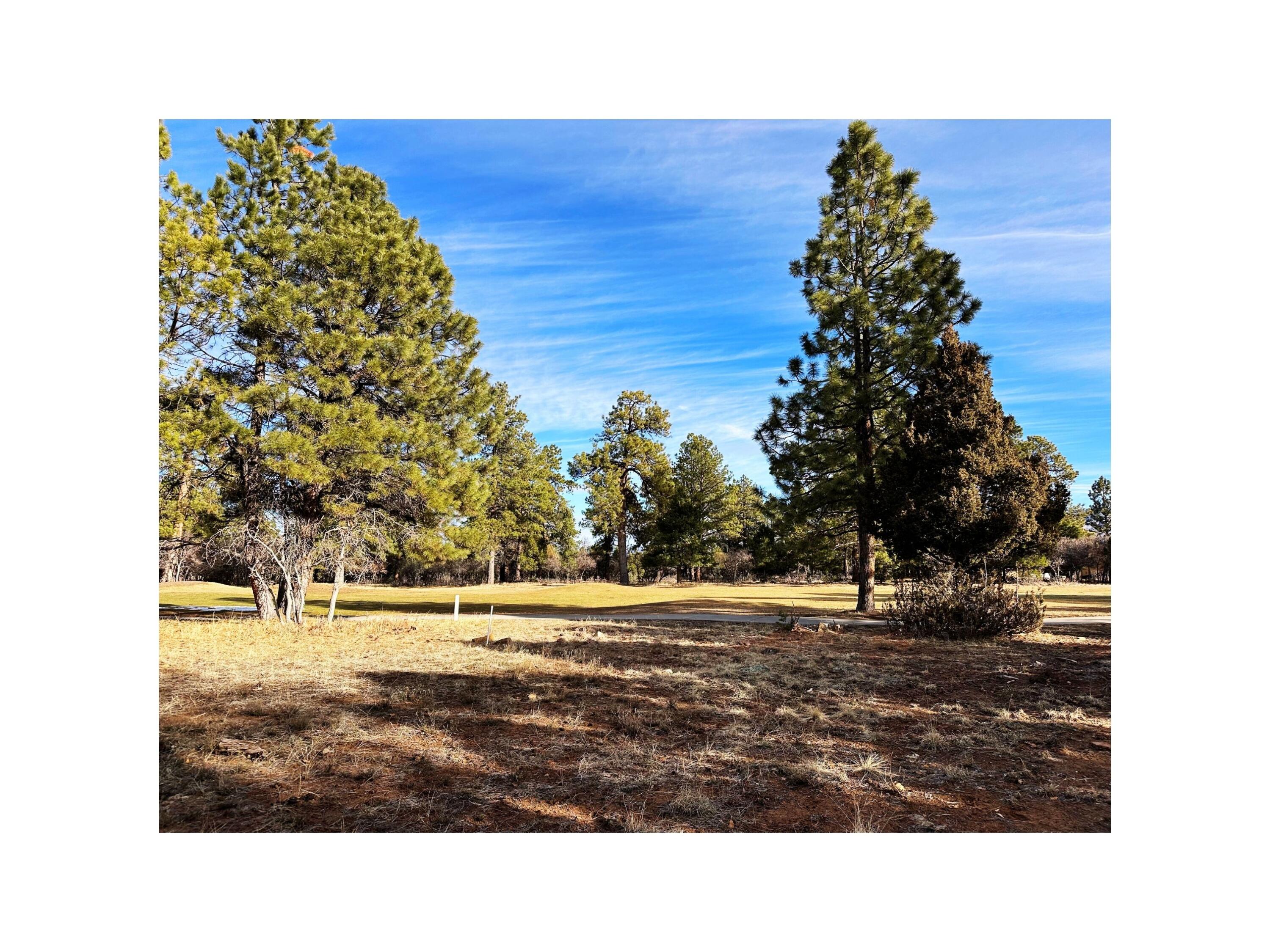 a view of a swimming pool with an outdoor space