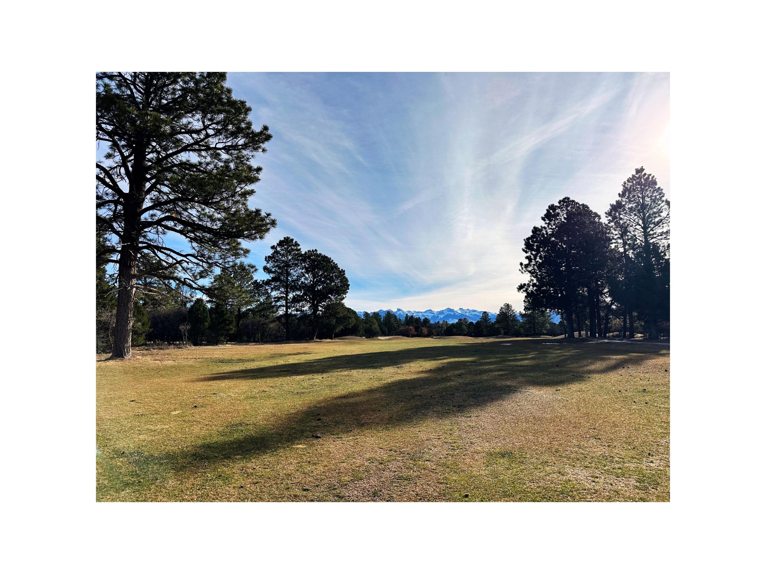 120 Puma Lane Ridgway, CO 81432 - Photo 3 of 10 a view of a room
