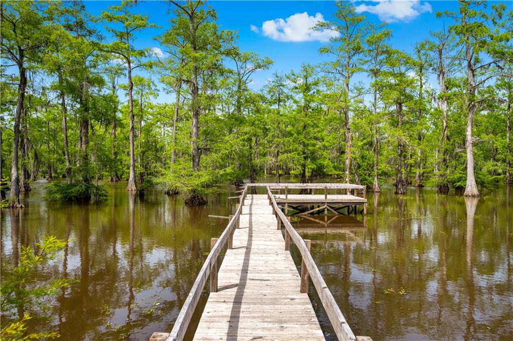 720 Hog Island Road Dry Prong, LA 71423 - Photo 16 of 60
