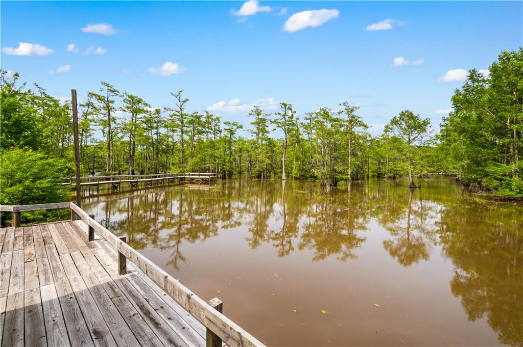 720 Hog Island Road Dry Prong, LA 71423 - Photo 20 of 60