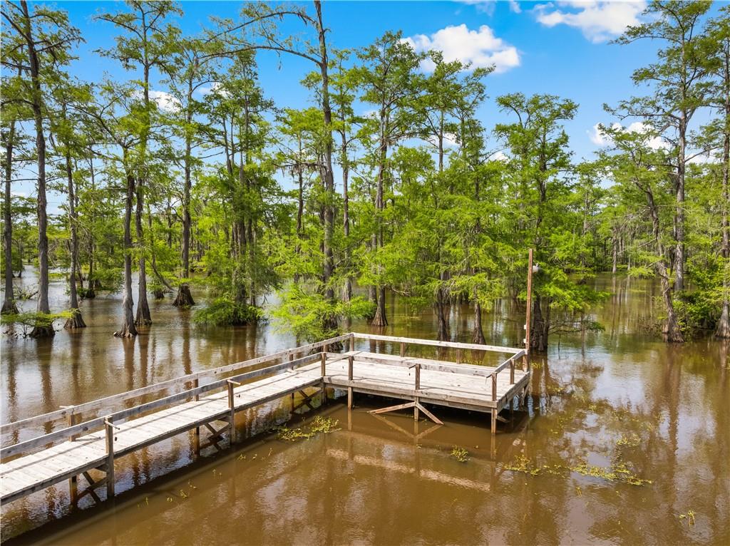 720 Hog Island Road Dry Prong, LA 71423 - Photo 5 of 60