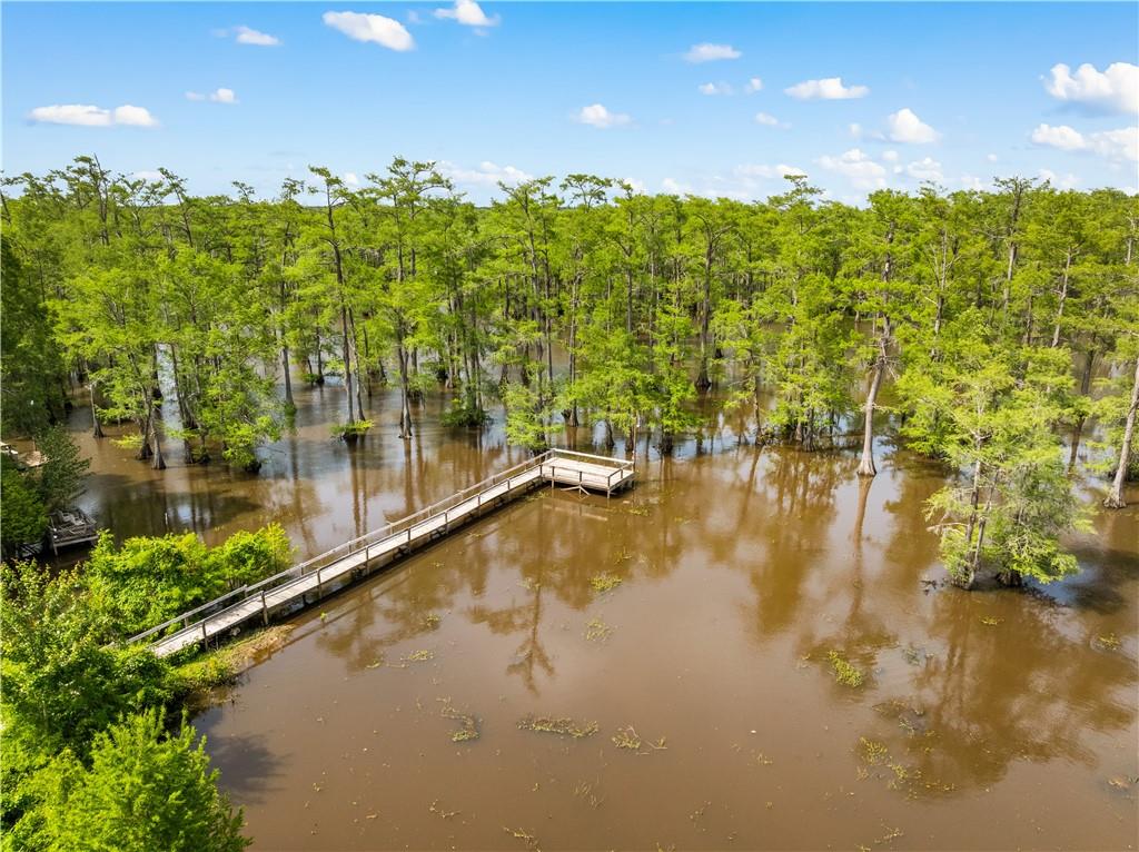 720 Hog Island Road Dry Prong, LA 71423 - Photo 9 of 60