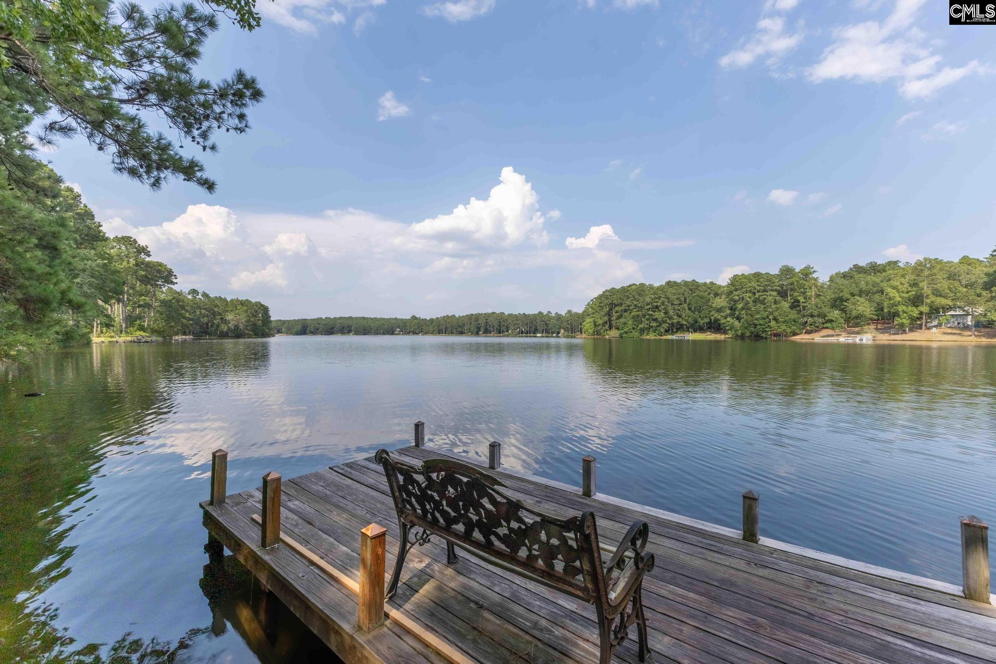 813 Edisto Lake Road Wagener, SC 29164 - Photo 46 of 69