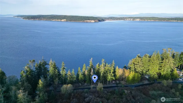 a view of a pathway of a forest