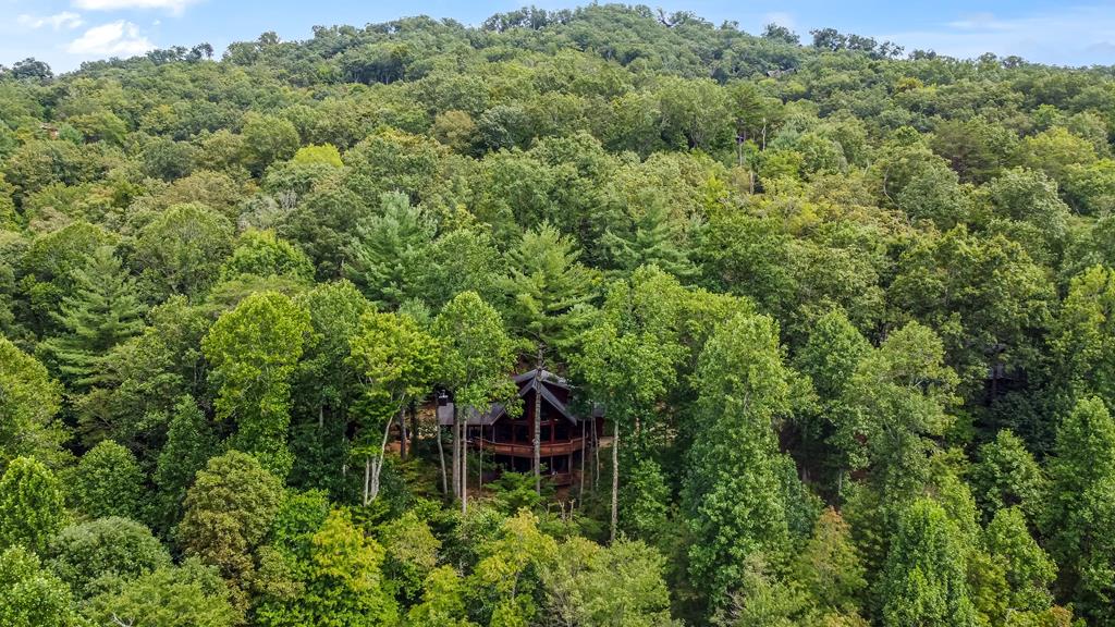 83 Mountain Brook Lane Blue Ridge, GA 30513 - Photo 56 of 56 Gallery Image 56