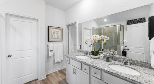 1220 Crumpton Drive Pflugerville, TX 78660 - Photo 11 of 34 a bathroom with a granite countertop sink a mirror and a shower