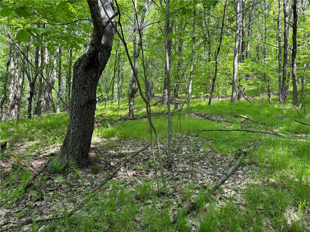 Braehead Road Bloomville, NY 13739 - Photo 11 of 39
