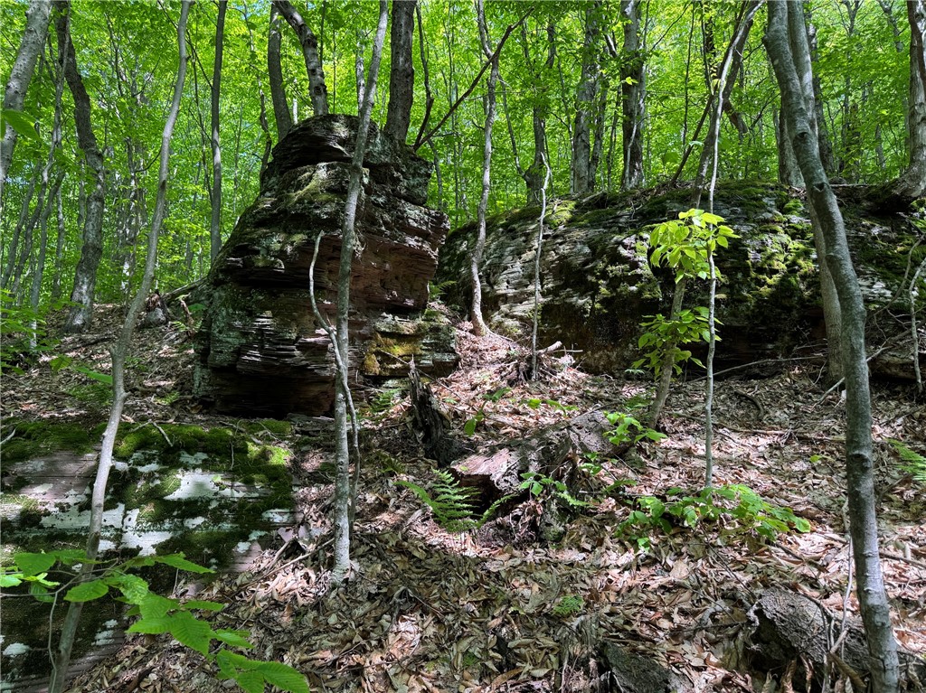 Braehead Road Bloomville, NY 13739 - Photo 14 of 39