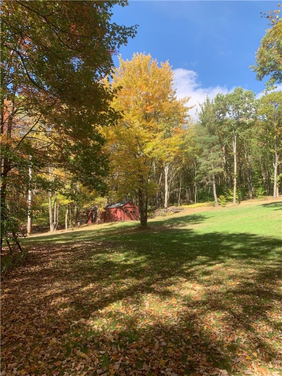 Braehead Road Bloomville, NY 13739 - Photo 22 of 39