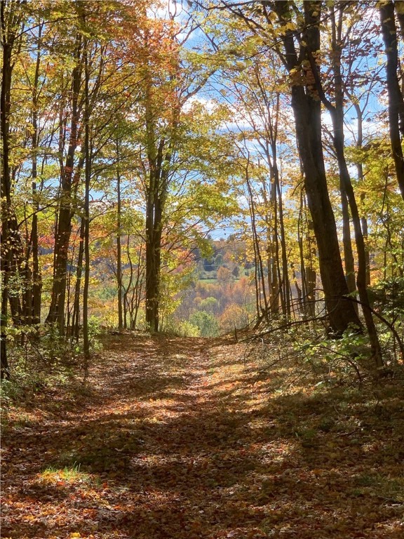 Braehead Road Bloomville, NY 13739 - Photo 23 of 39