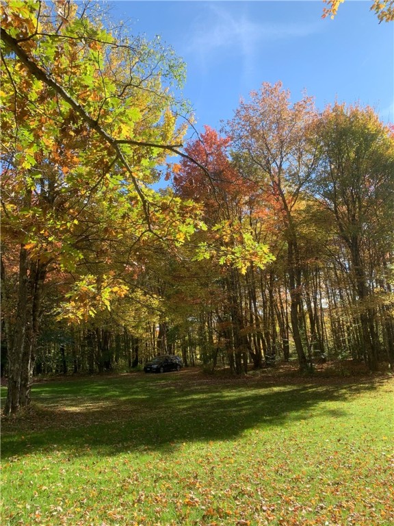 Braehead Road Bloomville, NY 13739 - Photo 24 of 39