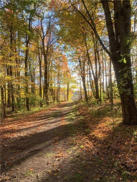 Braehead Road Bloomville, NY 13739 - Photo 26 of 39