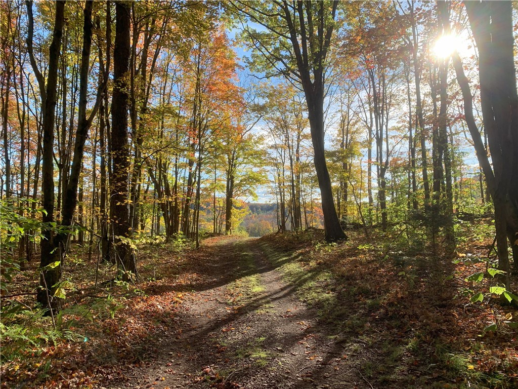 Braehead Road Bloomville, NY 13739 - Photo 27 of 39