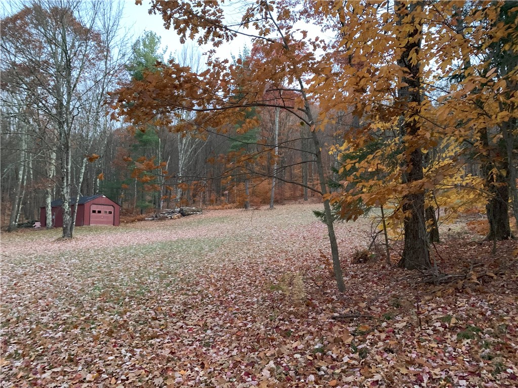 Braehead Road Bloomville, NY 13739 - Photo 29 of 39