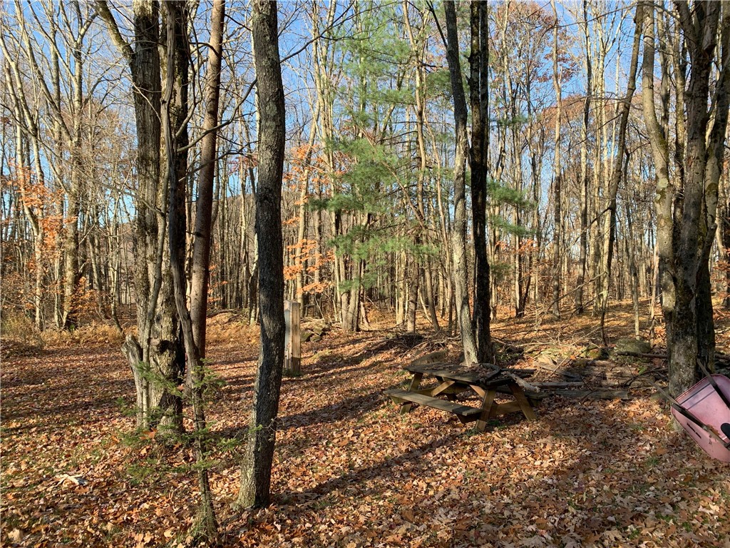 Braehead Road Bloomville, NY 13739 - Photo 31 of 39