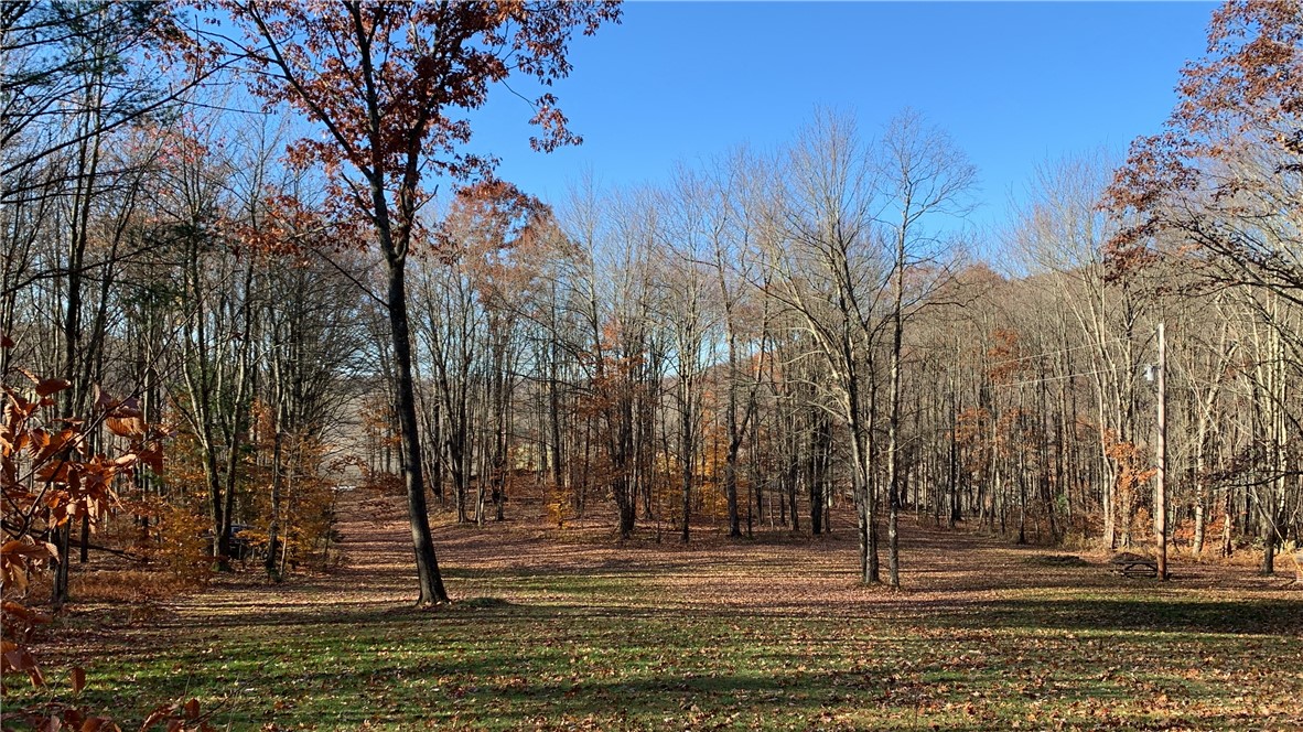 Braehead Road Bloomville, NY 13739 - Photo 32 of 39