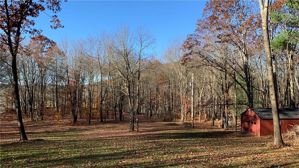 Braehead Road Bloomville, NY 13739 - Photo 33 of 39
