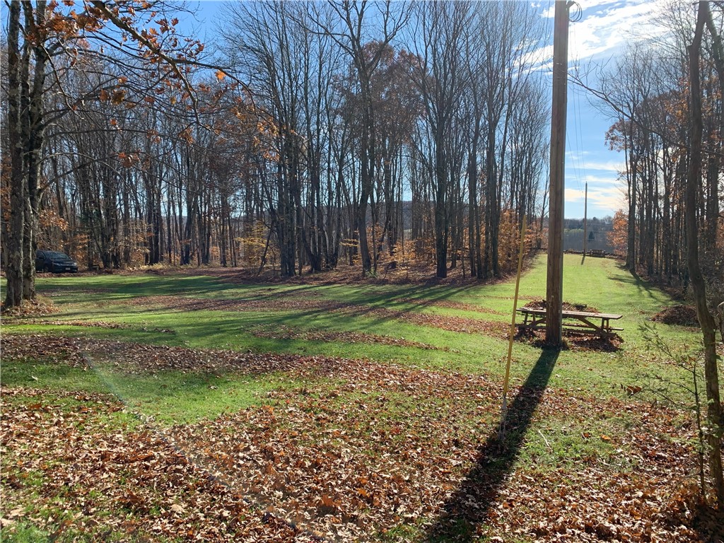 Braehead Road Bloomville, NY 13739 - Photo 36 of 39