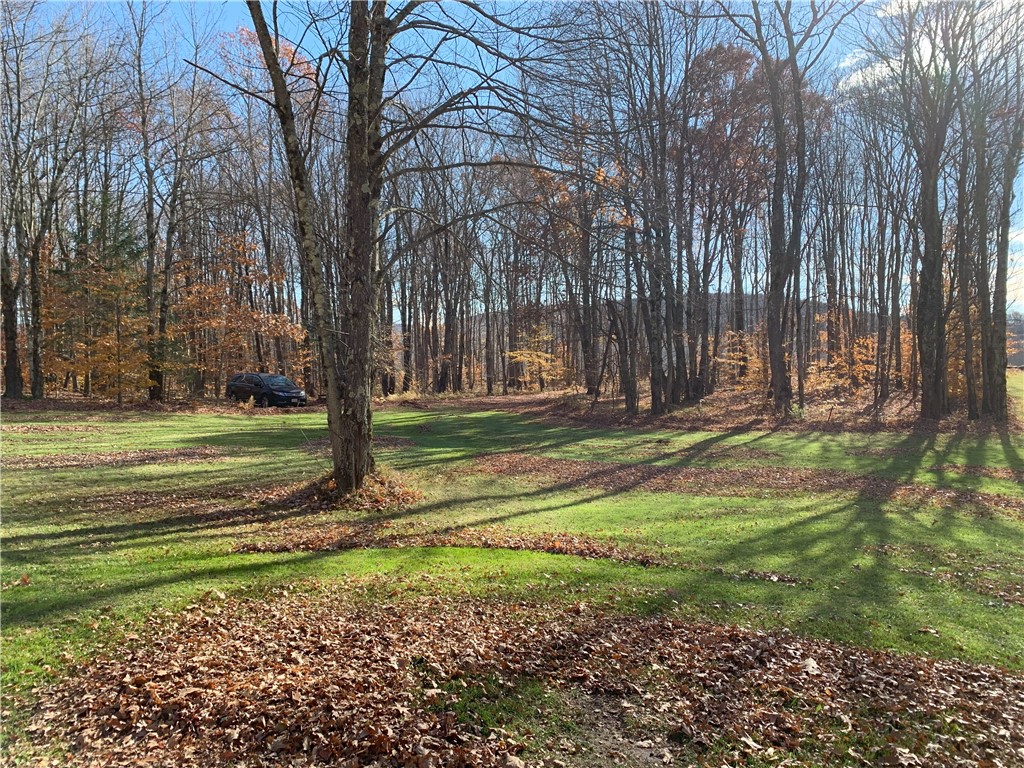 Braehead Road Bloomville, NY 13739 - Photo 38 of 39